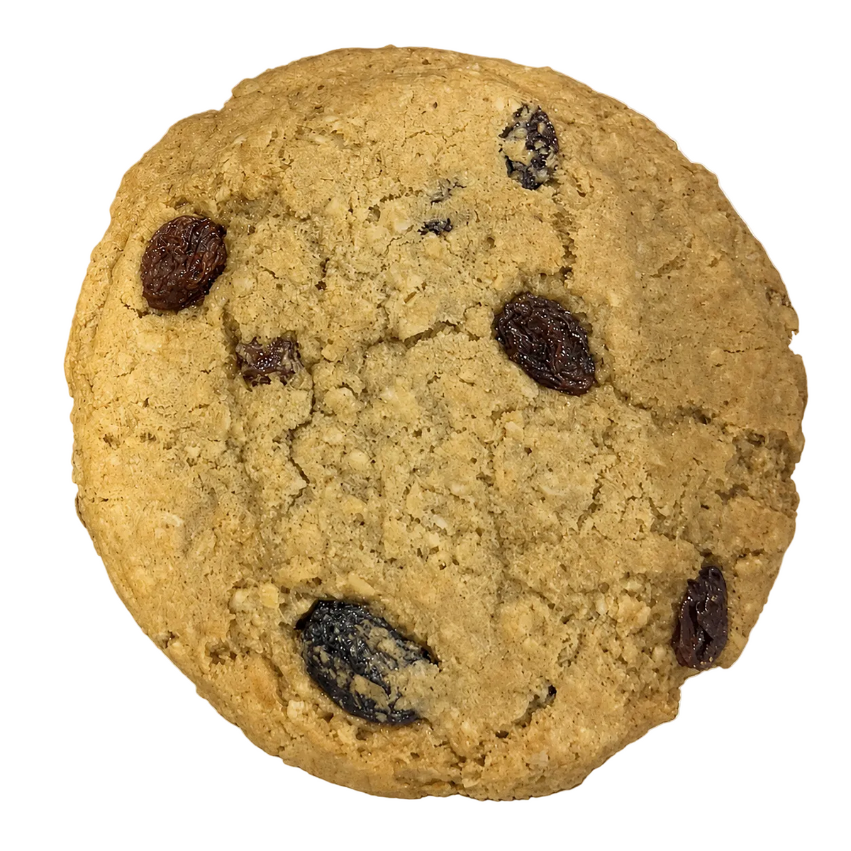 Oatmeal Rasin