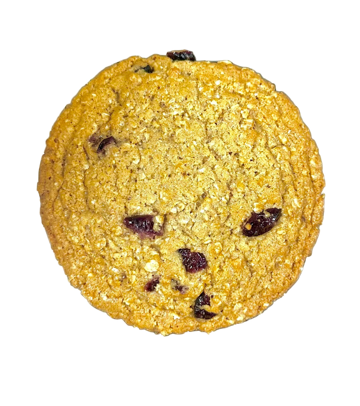 Oatmeal Cranberry Genie